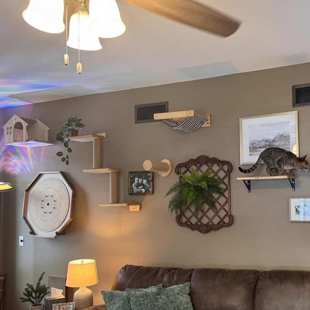 Furniture Paradise & Hardware Ghaziabad - Мебель для кошек: настенный подвесной мост