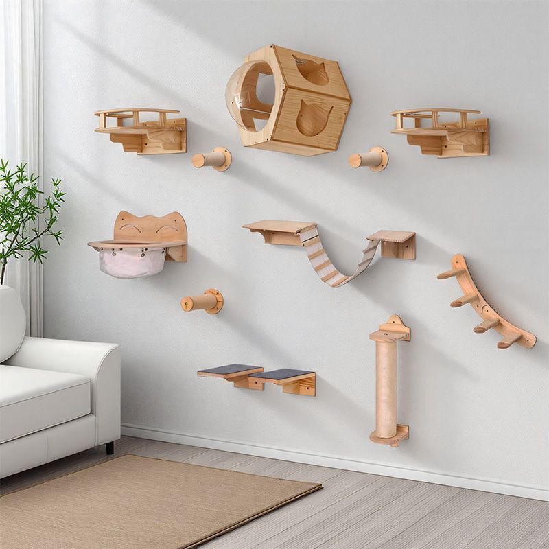Мебель для кошек: настенный по – обзор и цена Furniture Paradise & Hardware Ghaziabad
